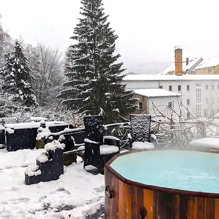 F1b - Urlaubsmagie - Helle Mit Sauna Und Pool * Sebnitz