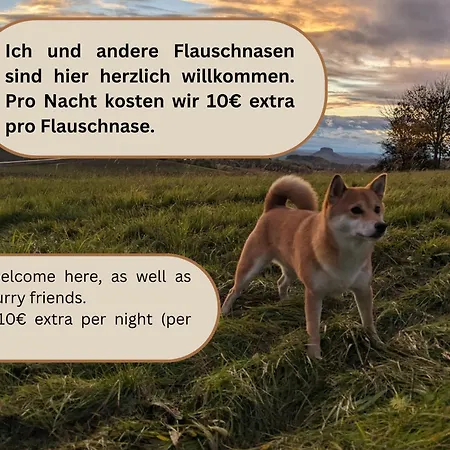 F1b - Urlaubsmagie - Helle Mit Sauna Und Pool * Sebnitz