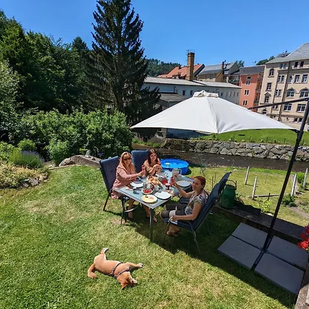 Urlaubsmagie Fledermaus - Gemeinschaftsgarten Mit Sauna - F1b Lejlighed Sebnitz